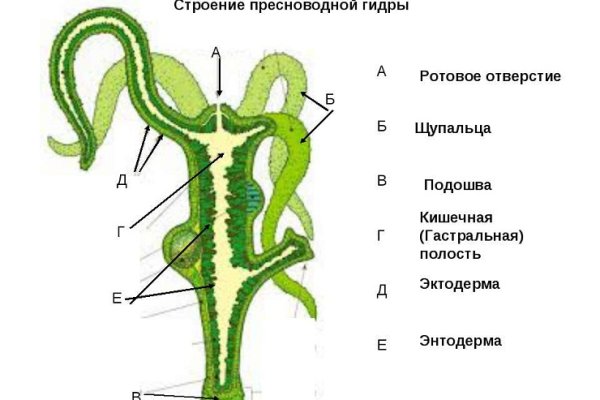 Ссылка на кракен vtor run