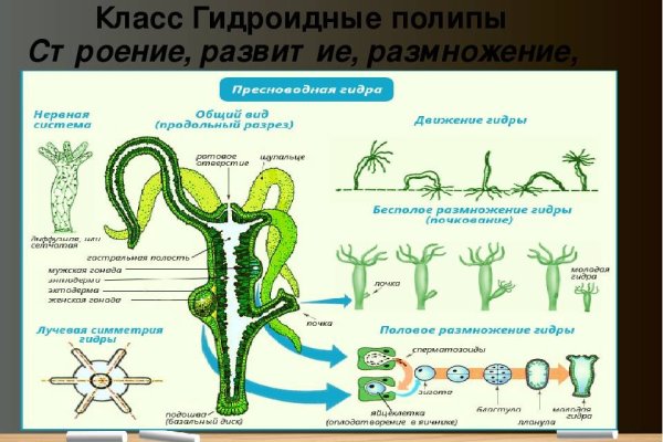 Как зайти в даркнет с тор браузера